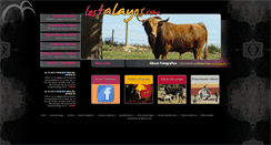 Desktop Screenshot of lostalayos.com