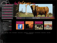 Tablet Screenshot of lostalayos.com